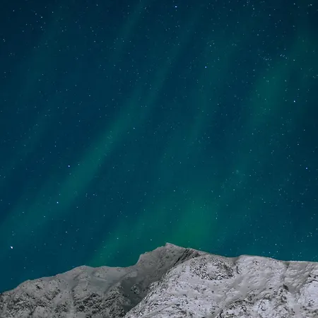 Arctic -